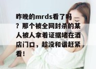 昨晚的mrds看了吗？那个被全网封杀的某人被人拿着证据堵在酒店门口，趁没和谐赶紧看！